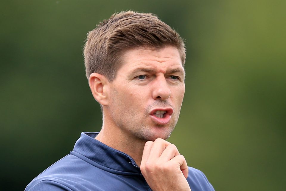 Former Liverpool midfielder Xabi Alonso believes Steven Gerrard (pictured) can be first-team manager in the future