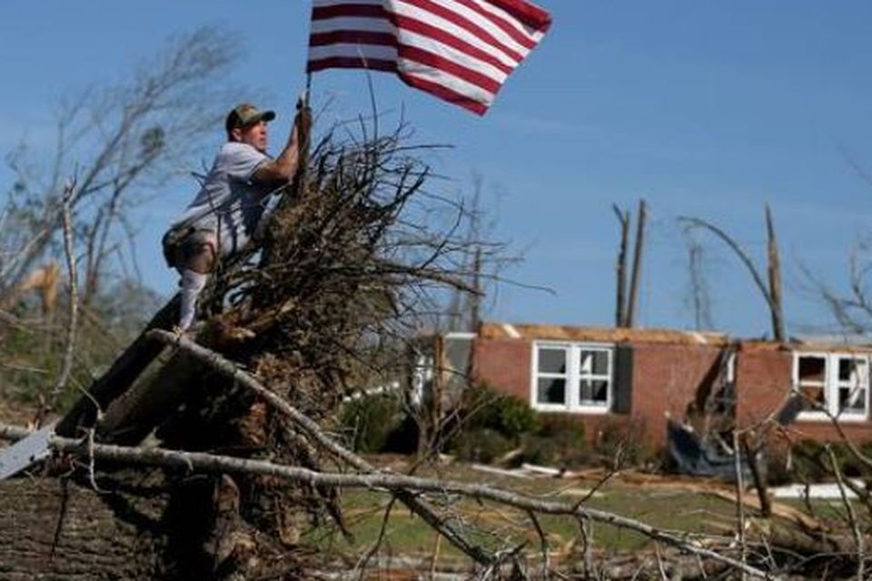 Golden-winged warblers have very sensitive hearing