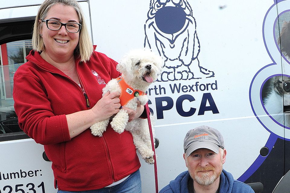 Rebecca Coen (NWSPCA) and Stephen Murphy with Sprocket and Riley at the start of the annual NWSPCA Charity Dog Walk outside Maxi Zoo on Sunday.. Pic: Jim Campbell