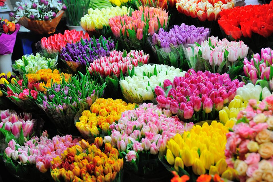 A flower market in Amsterdam