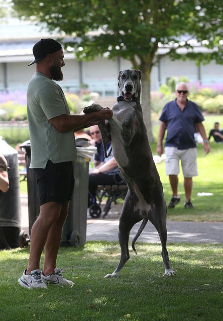 Emile Van Wyk pictured with dog Nala at Dunlaoghaire , Co Dublin…