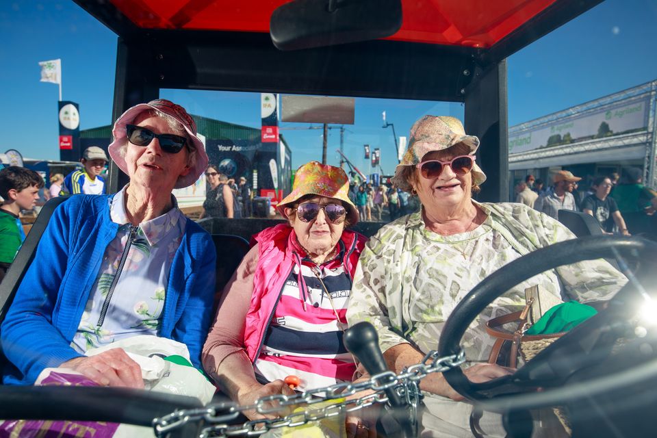 Taking a break from the heat in one of the NPC buggies. Photo: Mark Condren