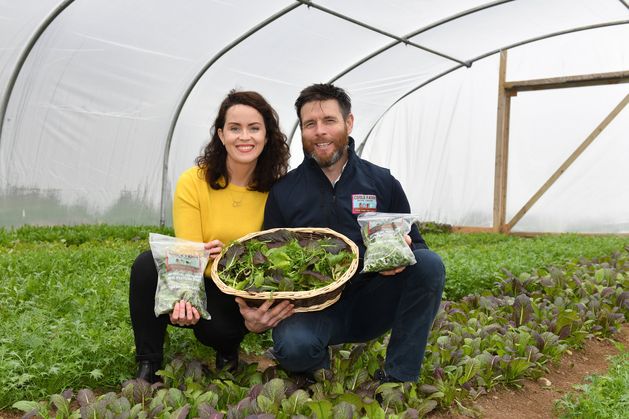 Championing local food: How this Louth farm built an organic market
