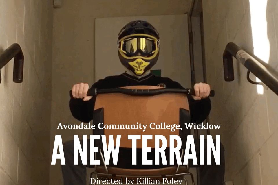 'A New Terrain' by Avondale Community College student Killian Foley has been nominated in the senior awards category.