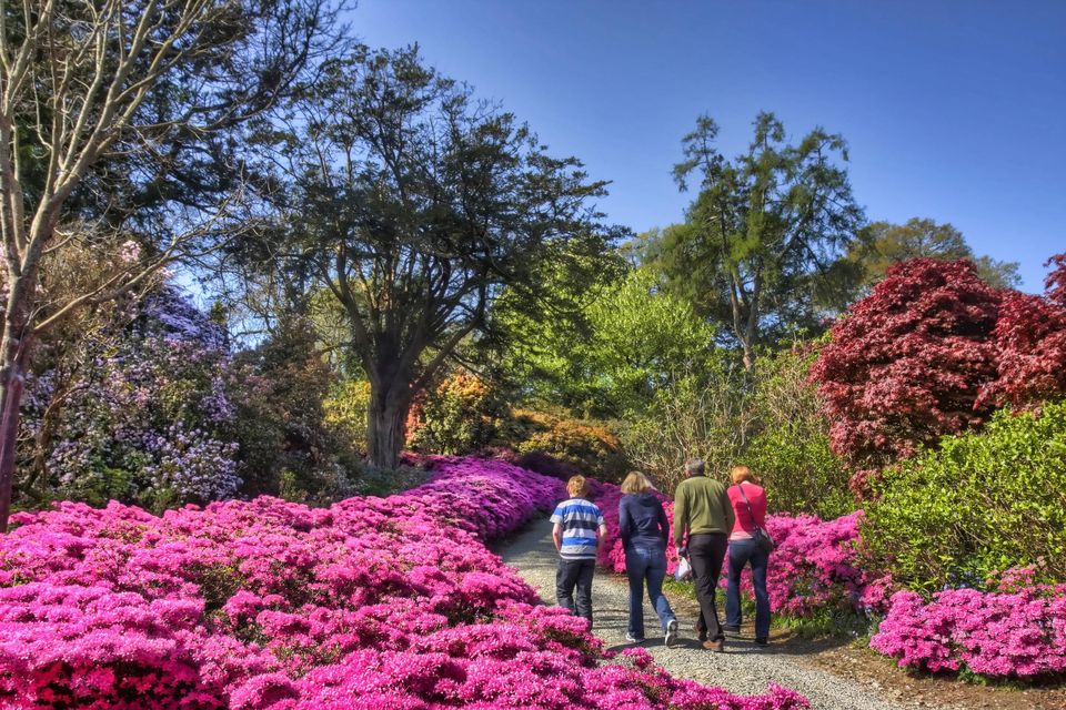 Mount Congreve Gardens, Co Waterford