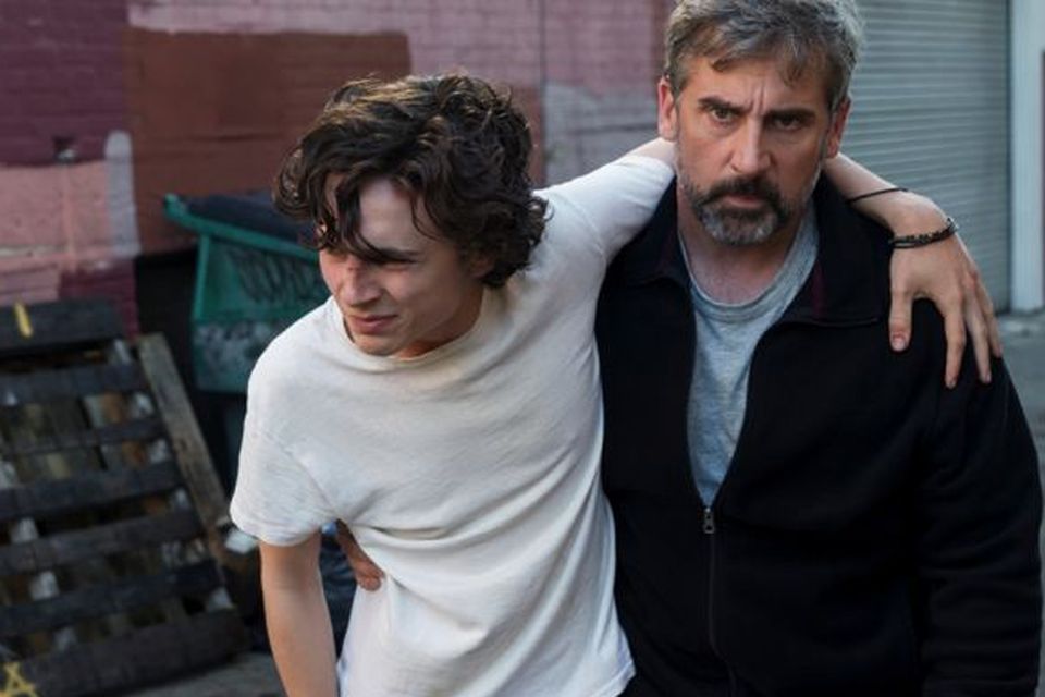Beautiful Boy stars Timothee Chalamet and Steve Carell