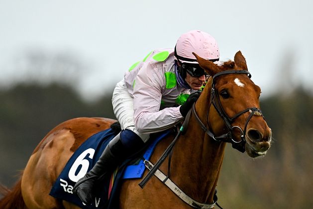 Flat-out Willie Mullins to take on Aidan O’Brien for Royal Ascot Gold Cup success