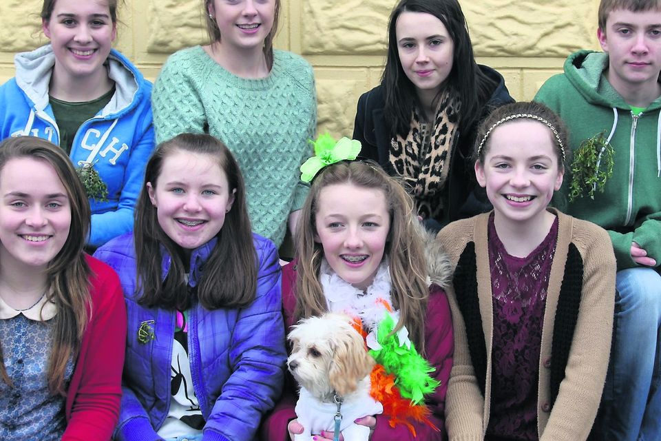 st patrick day parade boherbue