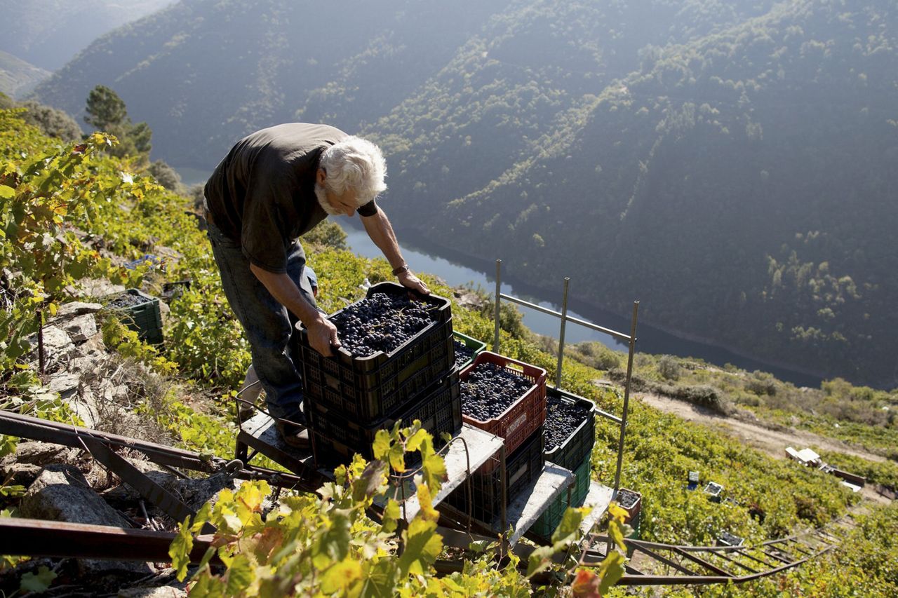 The wine buff: Heroic wines | Irish Independent