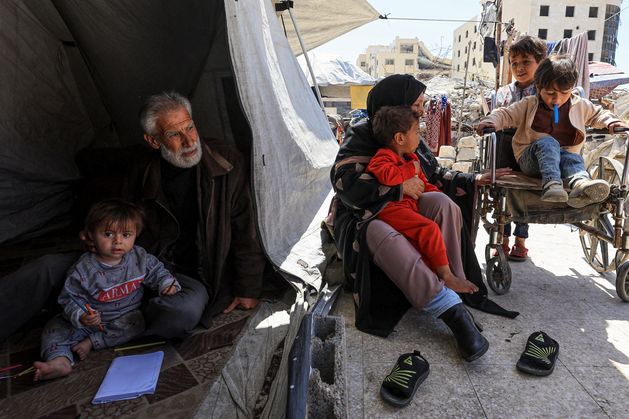 ‘Patients are admitted to hospital every day’ – Palestinian children bitten by rats while they sleep in tent camps