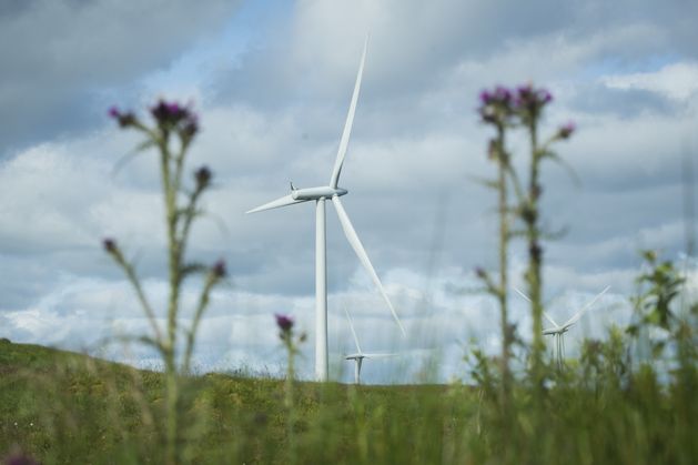 Wind has produced one-third of Ireland’s electricity this year