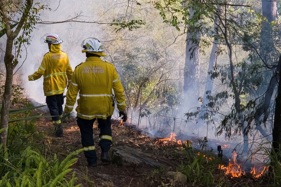 New South Wales Rural Fire Service firefighters walk through a hazard reduction burn in Sydney, Australia, September 10, 2023. REUTERS/Cordelia Hsu