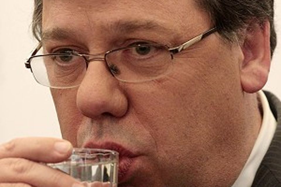 Taoiseach Brian Cowen admitted his voice sounded hoarse