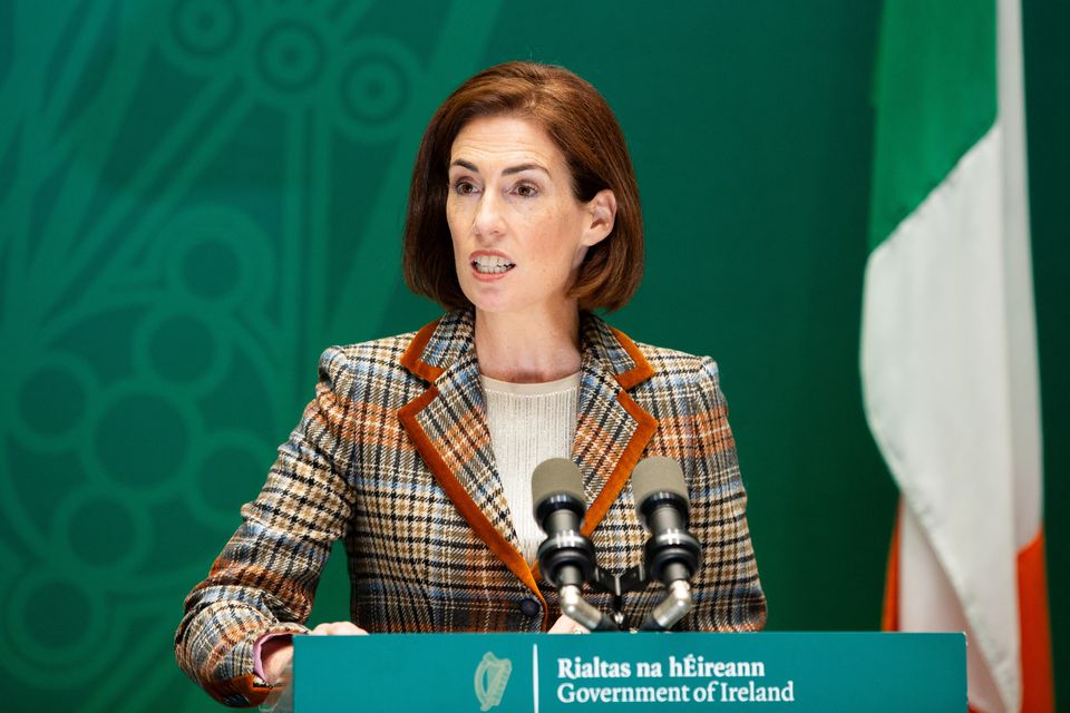 Deputy Health Minister Hildegarde Norton said Ireland needed a health-led approach to personal drug use.Photo: Gareth Cheney/Collins