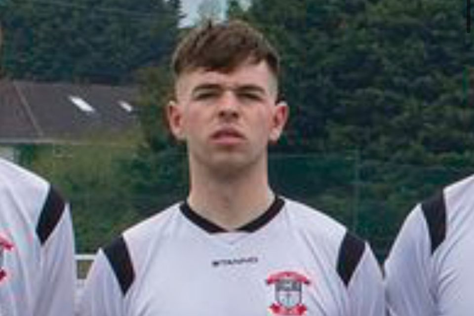 Nathan Cullen (24), with an address at Gusset Lane, Old Chapel Ground, Arklow.