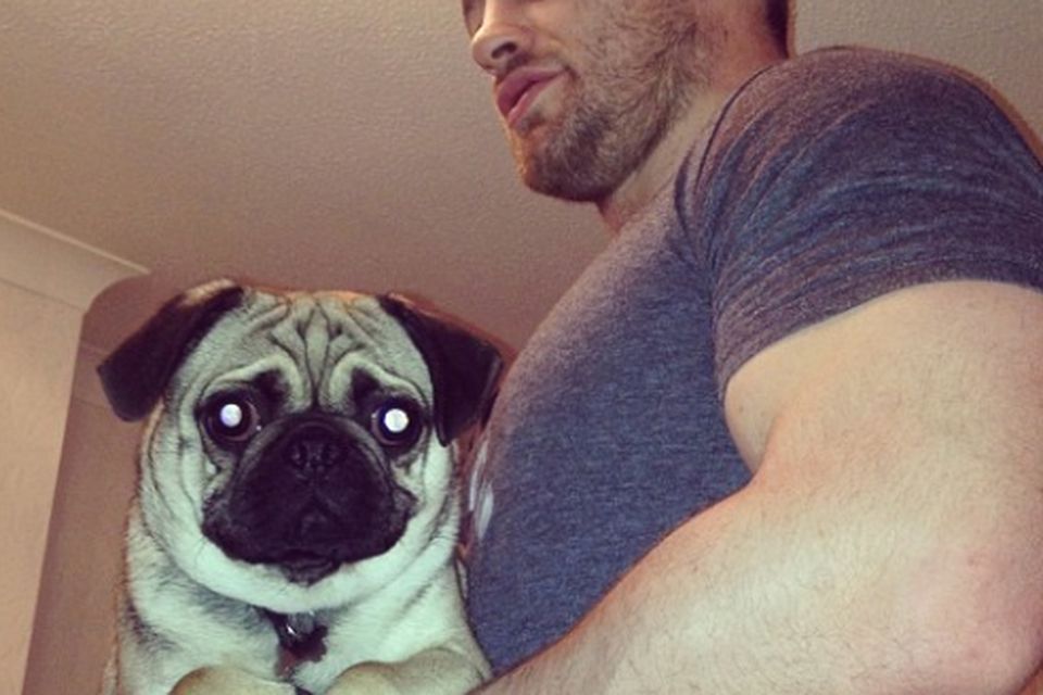 Cian Healy and their pug Ted