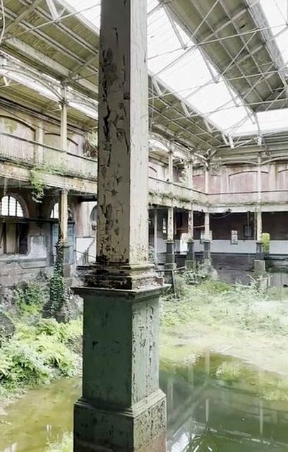 The derelict interior of the Iveagh Markets building