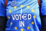 thumbnail: A Remain supporter on Park Lane in London
