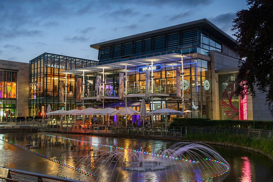 Hammerson owns 50pc of Dundrum Town Centre