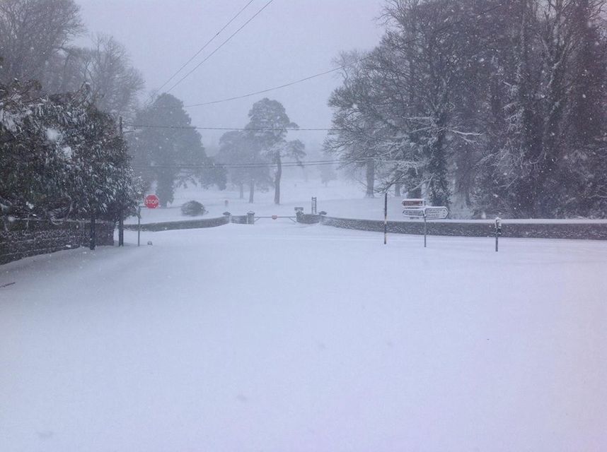 Snow this morning in Coollattin Co. Wicklow. Photo: Bill Nolan