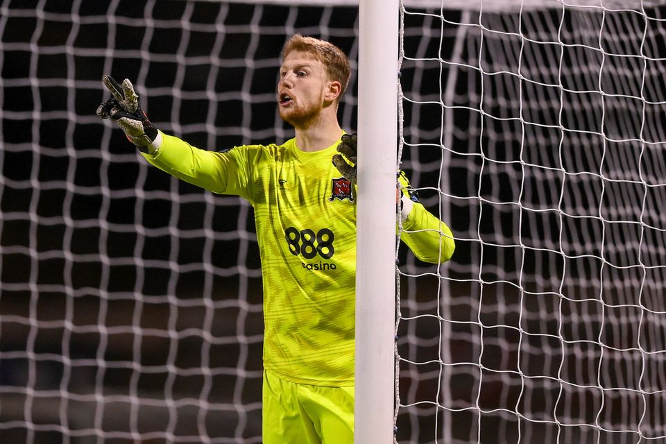 Dundalk goalkeeper George Shelvey has been handed a 10-game ban by the FAI's disciplinary committee