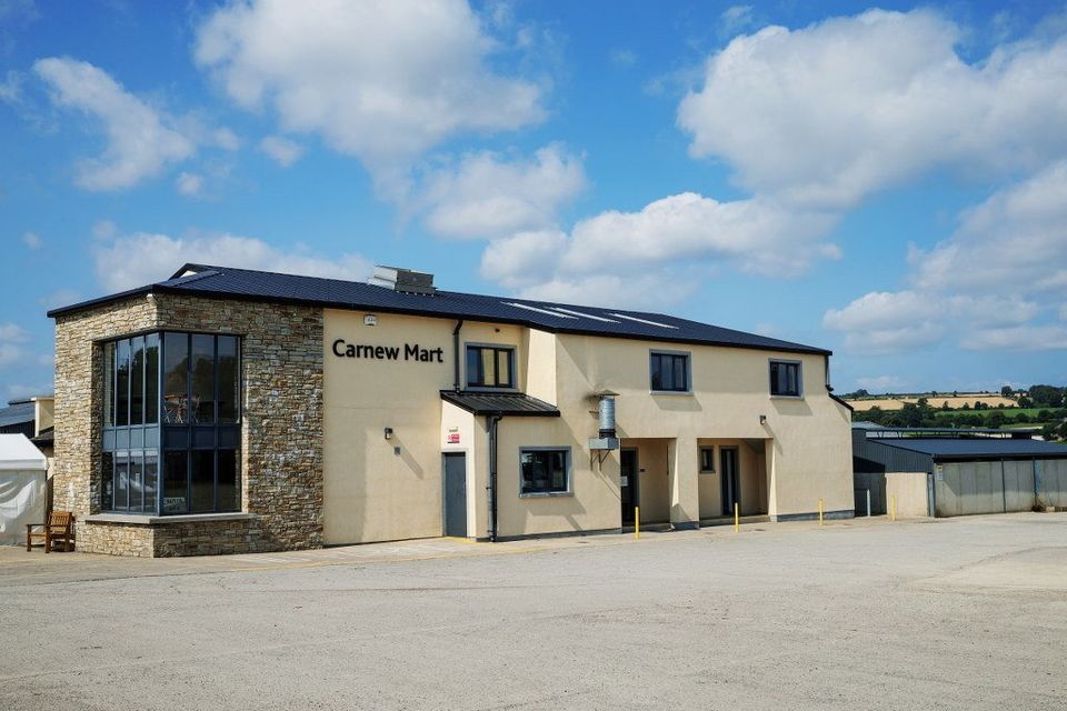 The Carnew Mart in Wicklow whill host a production sale with a twist on Wednesday, May 17.