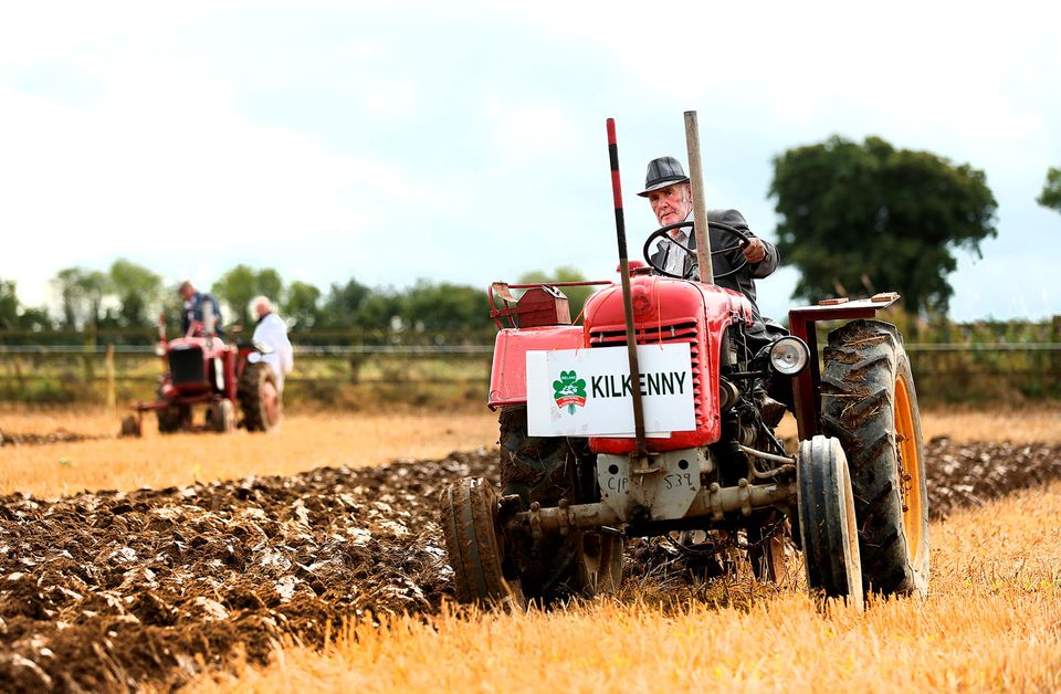 Peter McDonald from Mullinavat Co. Kilkenny competing in the Vintage Single Furrow class with his 1950 Steyr single cylinder tractor at the National Ploughing Championships.  Photo: Gerry Mooney