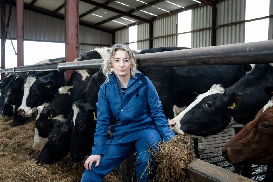 Rita Maunsell on her dairy farm at Athlacca, Co Limerick. Photos: Don Moloney