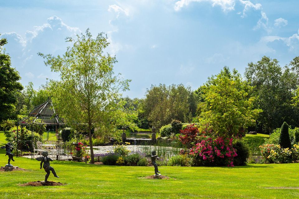 Welcome to the house of fun: Colourful Kildare house that featured on ...