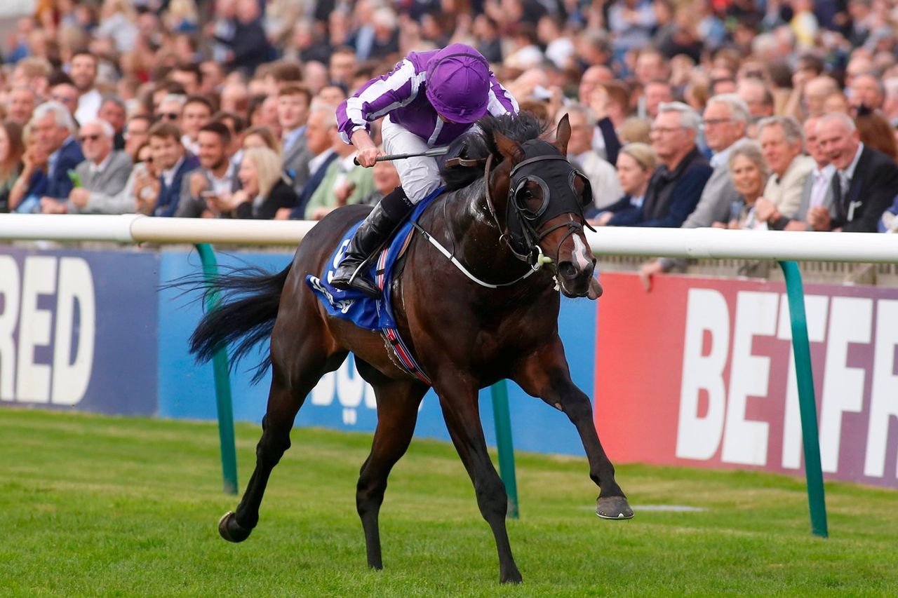 Another honour for Aidan O Brien as US Navy Flag scoops top award