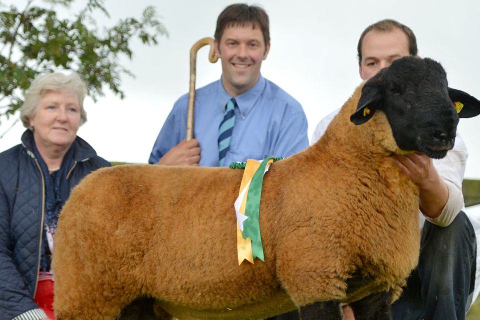 Sheila Eggleston President Suffolk Sheep Breeders,   Melvin Stuart, Judge and Patrick O' Keeffe with the Roscrea Champion 2014 exhibited by Arthur O' Keeffe.