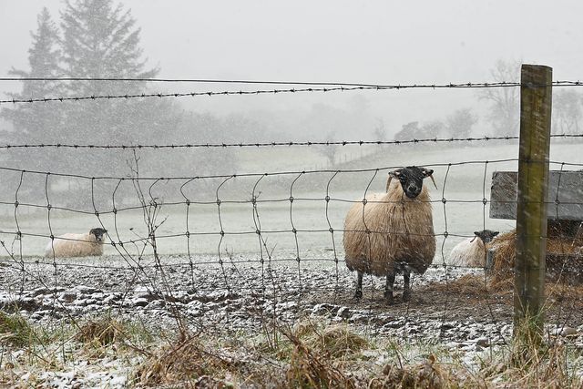 Weather Ireland: Met Eireann warns temperatures to drop to as low as ...