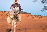 thumbnail: A Sudanese man with his donkey near Khartoum. Photo: Deposit