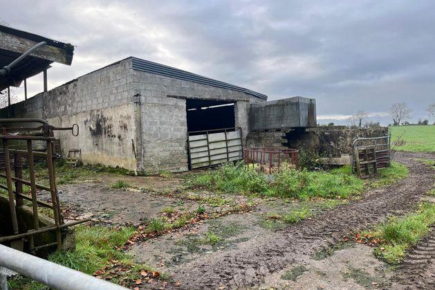 €30,000/ac: Monaghan farm sells for record €1.8m