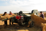thumbnail: Women farmers in work team 2 using the new mobile paddy thresher, Pungsan Co-farm, Tongchon County, Kangwon Province). Photograph by Project Officer