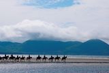 thumbnail: April: Horse Riding, Waterville, Co. Kerry by Padraig Murphy. Photo with thanks to Trident Holiday Homes.