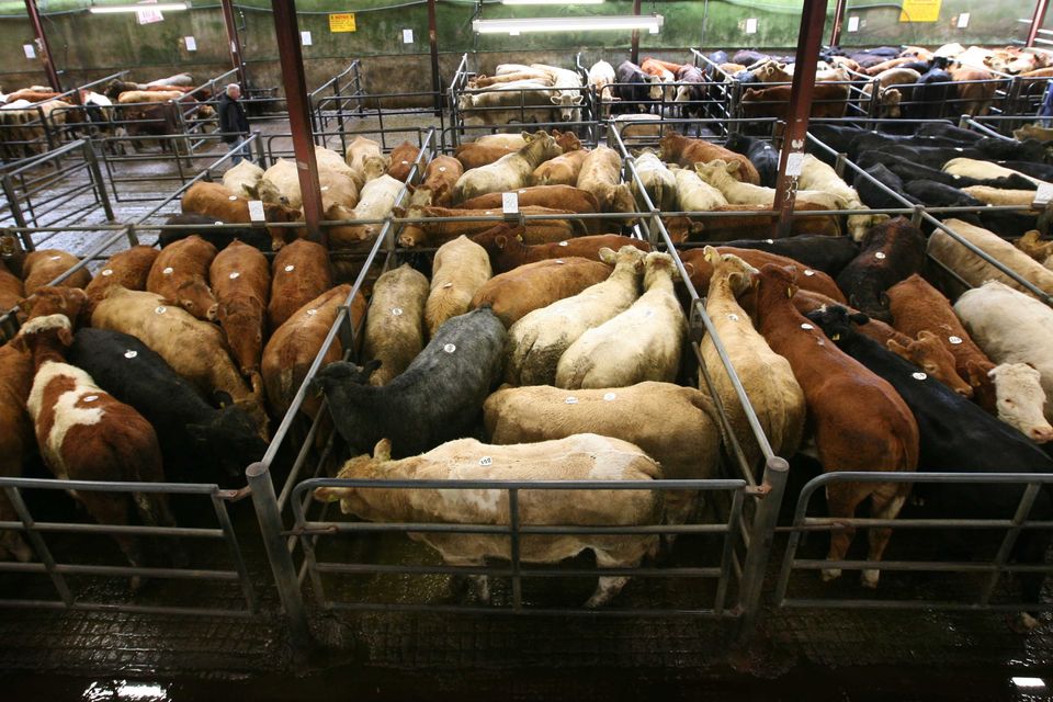 While there remains a ray of hope that numbers may ease in June, 31,640 were processed in the week ending May 14 — up 1,143 on the previous week.