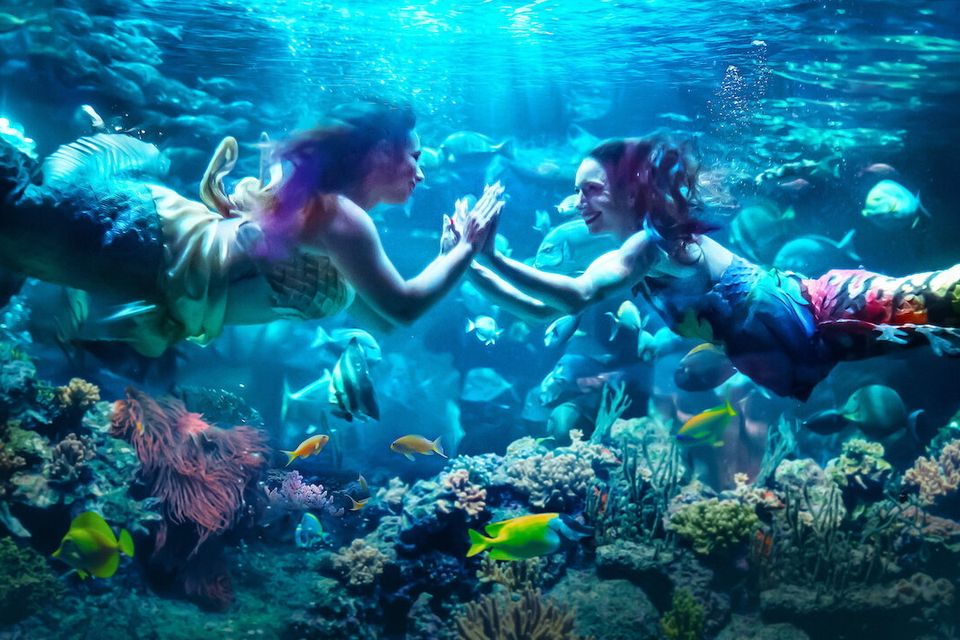 MerPeople
