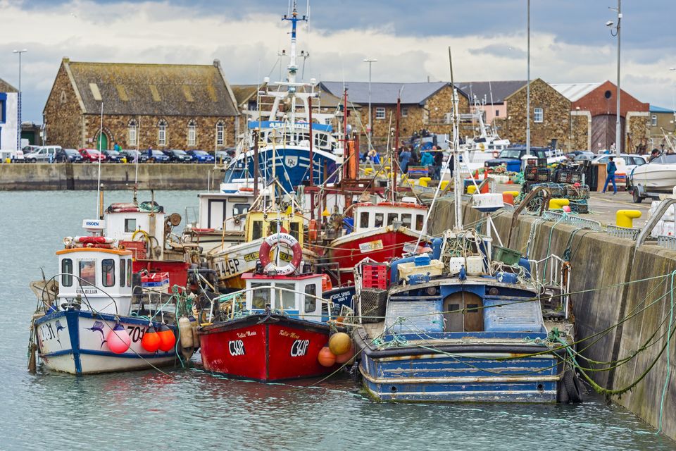 Boats in Howth harbour. Photo: Getty Images