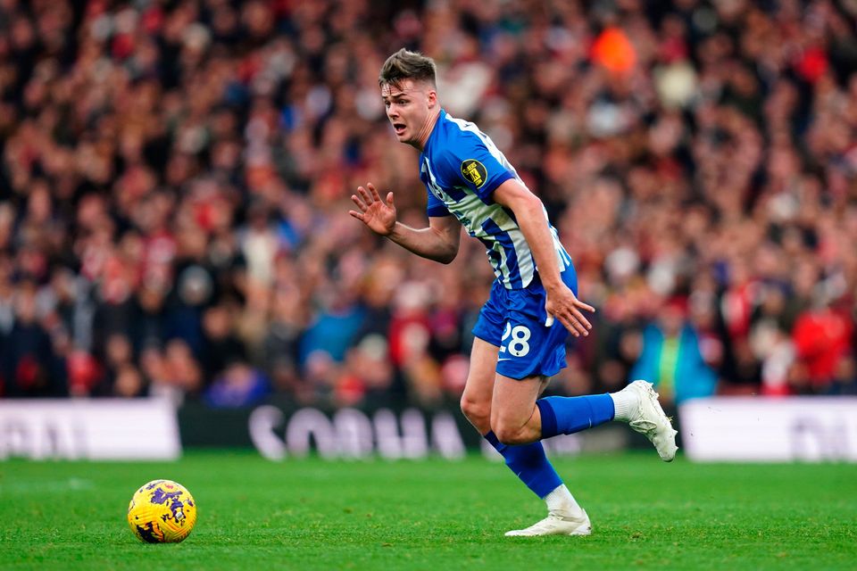 Brighton boss Fabian Hurzeler says Irish teenager Evan Ferguson has nothing to prove in tonight's home Carabao Cup tie against Wolves.