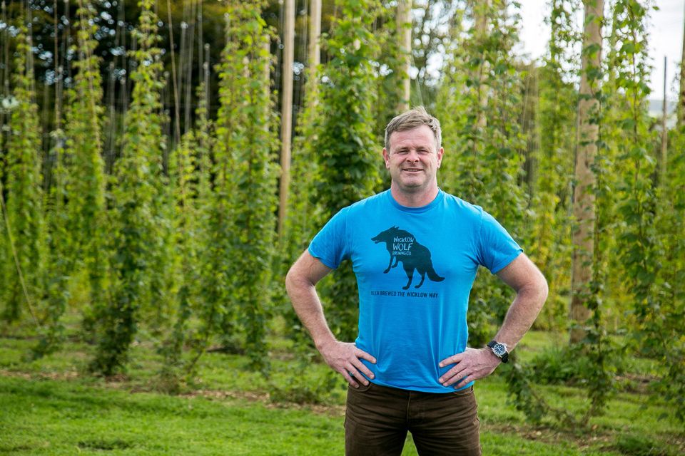 Craft brewer Simon Lynch from Wicklow Wolf. Photo: Alan Rowlette