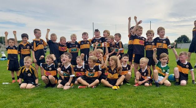 Club News: Austin Stacks GAA/Juveniles | Irish Independent