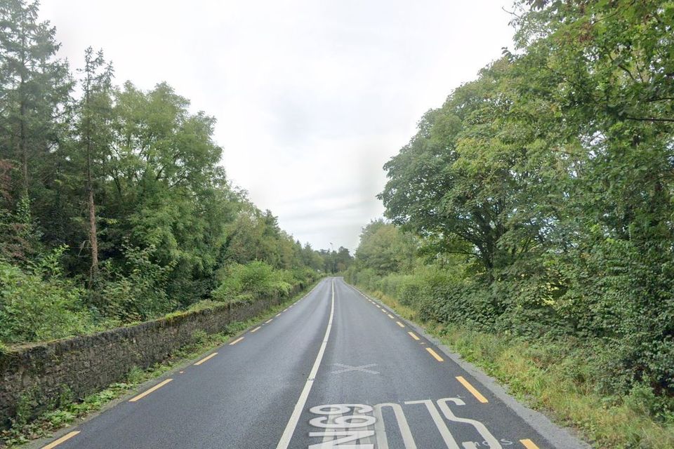 A stretch of the N69 road near where the crash occurred at Ballyengland, Co Limerick