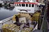 thumbnail: Fishing vessels at Killybegs, Co Donegal. Stock photo: Getty Images