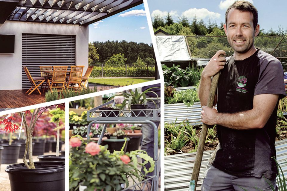 Mark Hoey, owner of Green Ideas Landscaping