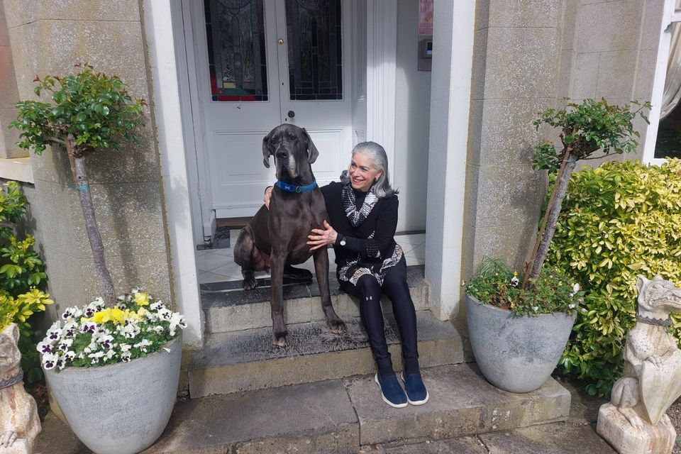 Owner Libby Sheehy with her dog