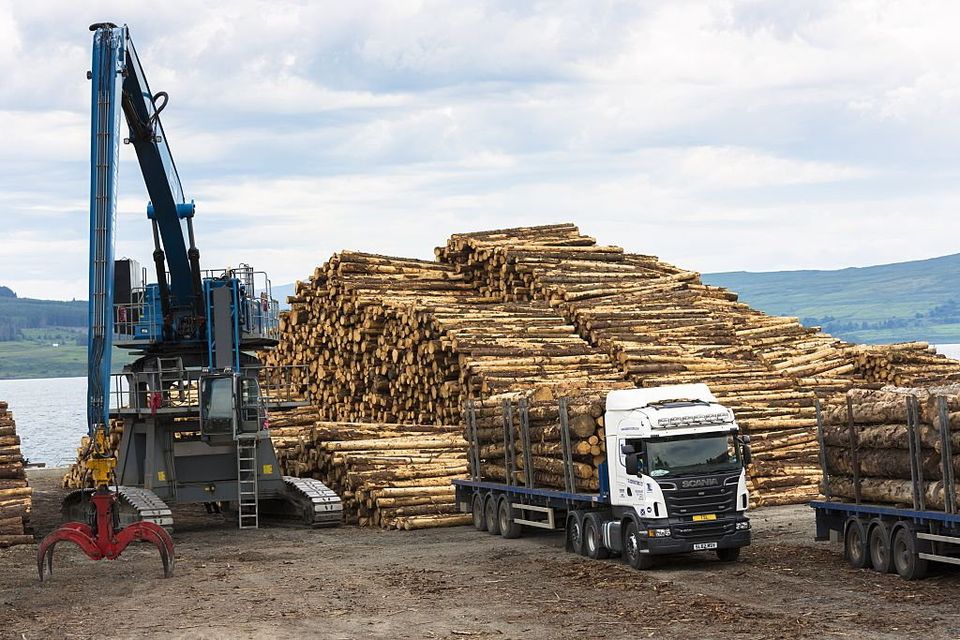 Timber production and transportation. Photo: Getty 