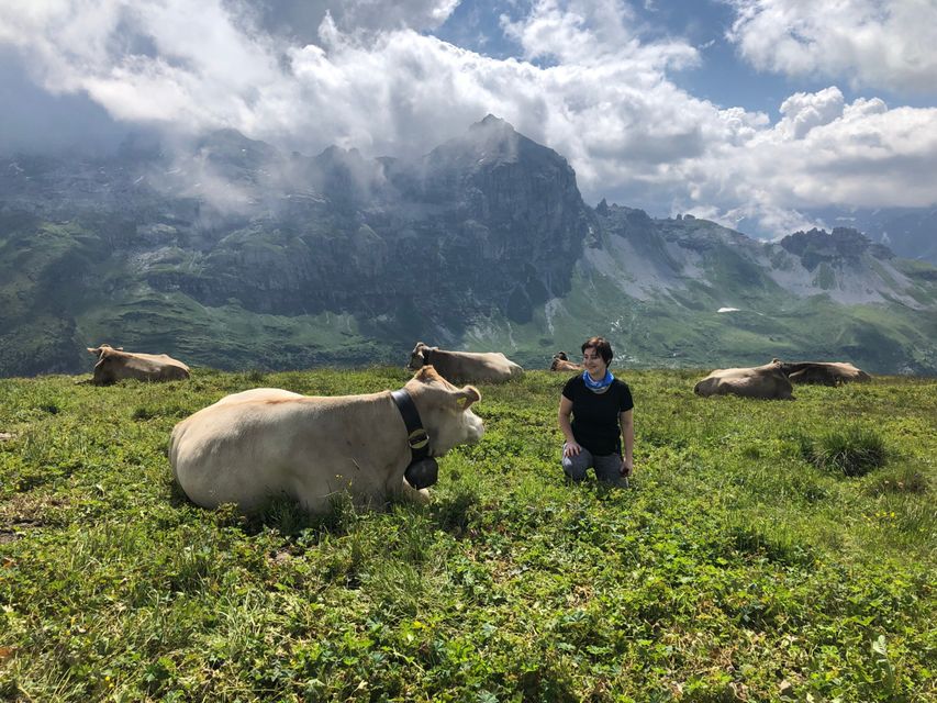Gemma, and cows, on the breathtaking Via Alpina trail between Engstlenalp and Meiringen