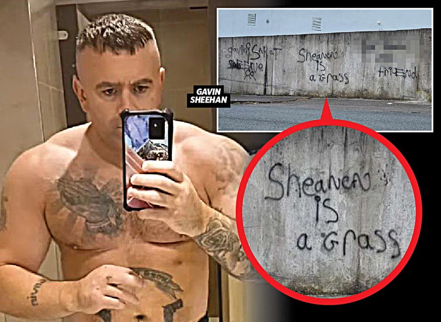 Graffiti targeting Gavin Sheehan sprayed on a wall in Cork