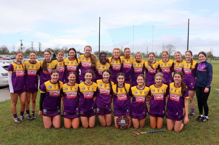 Wexford draw first blood in key games against Offaly by capturing Leinster Under-16 ‘A’ camogie shield